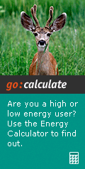 Click here to find out how much energy you use!